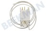 Husqvarna electrolux Kühlschrank Thermostat 3 Kontakte K59-L2076 Ranco