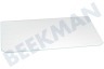 Ariston-Blue Air Kühlschrank 280888, C00280888 Glasplatte