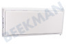 Indesit Kühlschrank 63308, C00063308 Gefrierfachklappe weiß mit Griff 473x209x45