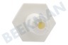 Terzi Kühlschrank 53419, C00053419 Gerätefuß Weiß 17.7x40