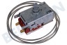 Ariston-Blue Air Kühlschrank 143904, C00143904 Thermostat K59 L4141
