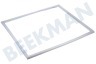 Philips Kühlschrank Dichtungsgummi 1150 x 540 mm weiß
