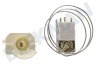 Wegawhite Kühlschrank Thermostat Ranco K59S2785500 ersetzt Atea A13 0696R