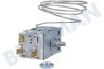 Privileg Kühlschrank Thermostat Atea A130696R