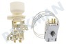 Etna Kühlschrank Thermostat Ranco K59L1229500 esetzt Atea A13 0704