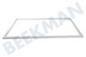 Junker Kühlschrank 214226, 00214226 Dichtungsgummi 790 x 515mm -weiß-
