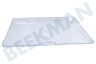 Neff Kühlschrank 791260, 00791260 Deckel Unter Hydrofresh Plateau