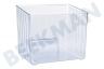 Vorwerk Kühlschrank 00352468 Gemüsefach Transparent 230x175x200mm