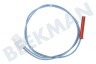 Matag Kühlschrank 10024678 Sicherung termische Sicherung