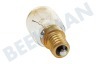 Bosch Kühlschrank 602674, 00602674 Lampe 15W E14 Kühlschrank