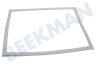 Beko Kühlschrank Dichtungsgummi Gefrierteil