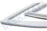 Schaub lorenz Kühlschrank 4668510200 Kühlschrankdichtung