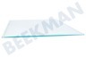 Ocean Kühlschrank Glasablage