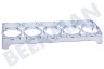 Beko Kühlschrank Eierhalter Eierhalter für 10 Eier