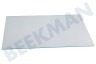 Beko Kühlschrank 4656270100 Glasplatte Ablagefach