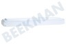 Blomberg Kühlschrank Gefrierfachklappe Gefrierfach 44x15x5 cm (LxHxB)