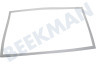 Hisense Kühlschrank Türgummi
