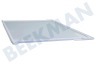 Franke Kühlschrank Glasablage
