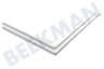 Indesit Kühlschrank 114661, C00114661 Dichtungsgummi für Gefrierschrank 552x713