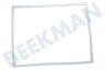 Liebherr Kühlschrank Dichtungsgummi Gefrierteil