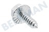 Liebherr Kühlschrank Torx-Schraube