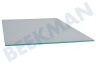 Liebherr Kühlschrank 7271680 Glasplatte