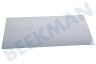 Liebherr Kühlschrank 7271680 Glasplatte