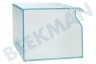 Liebherr Kühlschrank Türfach mit Klappe, klein
