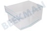 Liebherr Kühlschrank Gemüsefach groß, 31x24x17,5 cm