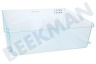 Liebherr Kühlschrank 9791272 Gemüseschublade