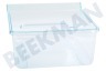 Liebherr Kühlschrank Gemüsefach Transparent