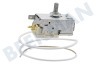 Alno Kühlschrank Thermostat K59-L2622