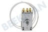 Alno Kühlschrank Thermostat K59-L2622