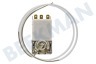 Alno Kühlschrank Thermostat K59-L2622