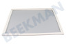 Whirlpool Kühlschrank Dichtungsgummi Gefrierfach Weiß, 610x520mm