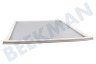 Whirlpool Kühlschrank Dichtungsgummi Gefrierfach Weiß, 610x520mm