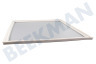 Whirlpool Kühlschrank Dichtungsgummi Gefrierfach Weiß, 610x520mm