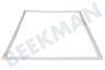 Polar Kühlschrank Dichtungsgummi 755x570mm -weiß-
