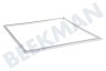 Neutro Kühlschrank Dichtungsgummi 585x570mm -weiß-