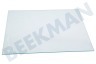 Indesit Kühlschrank Glasplatte