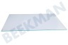 Hotpoint Kühlschrank 481010826635 Glasplatte