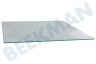 Privileg Kühlschrank 481010668655 Glaplatte