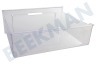 Bauknecht Kühlschrank Gefrier-Schublade Transparent 410x360x155mm