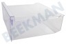 Bauknecht Kühlschrank Gefrier-Schublade Transparent 410x360x155mm