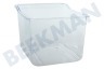 Tecnik Kühlschrank Gemüsefach Transparent 290x232x200mm