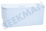 Ariston-Blue Air Kühlschrank C00144901 Gemüseschublade