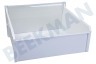 Privileg Kühlschrank 481010694095 Gefrier-Schublade Schublade XXL