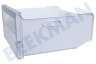 Privileg Kühlschrank 481010694095 Gefrier-Schublade Schublade XXL