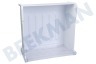 Privileg Kühlschrank 481010694095 Gefrier-Schublade Schublade XXL