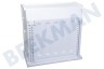 Privileg Kühlschrank 481010694095 Gefrier-Schublade Schublade XXL